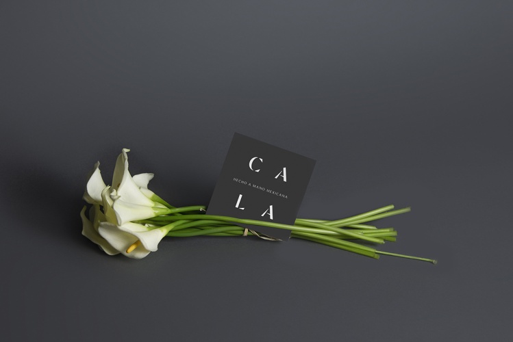 Cala家居用品公司vi設(shè)計，logo字體設(shè)計