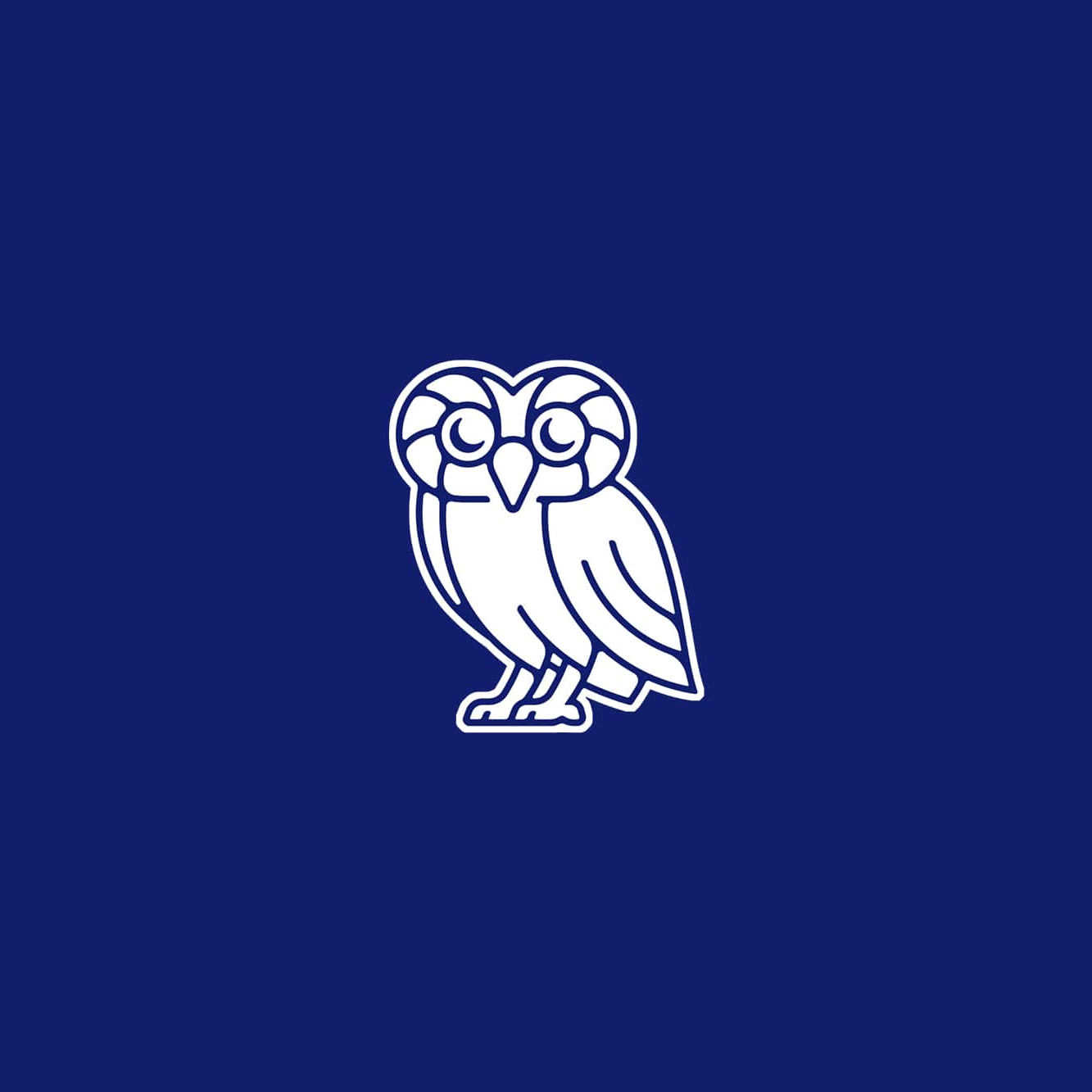 萊斯大學vi設計，品牌形象改造，logo設計